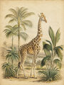 Image Not Available